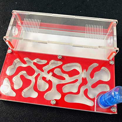 ANT 150mmx110mm Test Tube Moisture Big Space Nest Farm Acrylic, Insect Villa House Ecological Workshop (red) - color: red