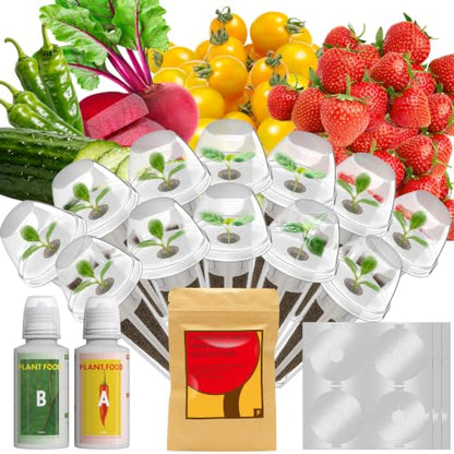 LYKOCLEAN Strawberry Seed Pods kit for AeroGarden, Ahopegarden - Includes Wild Strawberry, Radish, Dwarf Pea, Green Pepper, Ruby Queen Beet, Golden Cherry Tomato, 12 pods, 400+Seeds - color: Fruit, size: 12pods