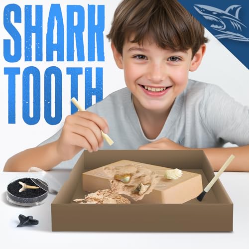 EGGBOX Shark Tooth Dig Kit Excavate 8 Shark Fossils Including Great White, Angel, Bullhead, Longnose, Sand Tiger Shark and so on. Great Science Gift for Marine Biology Enthusiasts of Any Age