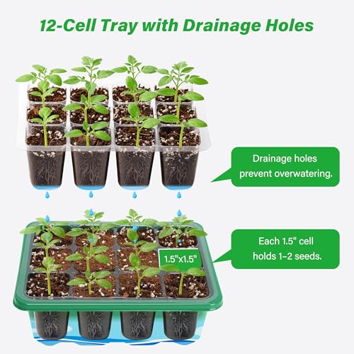 Bonviee 5-Pack Seed Starter Trays, Humidity Dome, Base, 12-Cell Tray, Green - color: Green, size: 5 Packs