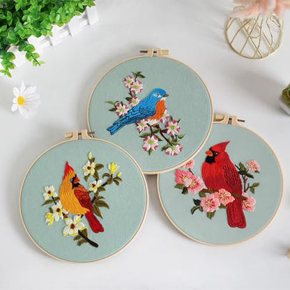 Louise Maelys 3 Set Colorful Bird Embroidery Kit for Beginners Gift - color: Animals-6