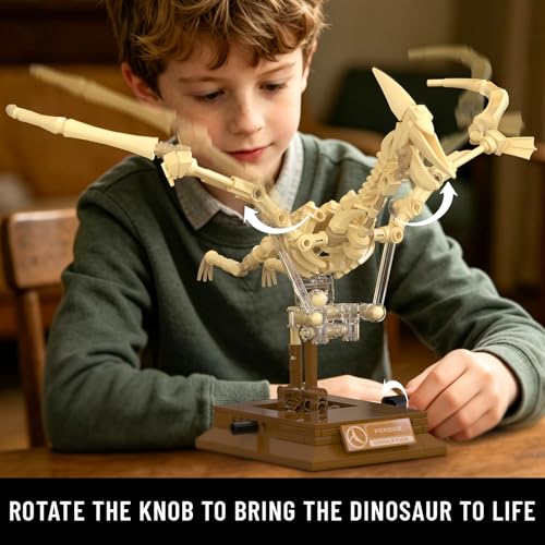 Pterosaur Dinosaur Fossil Building Set, Mechanical Dino Skeleton Model - color: Pterosaur