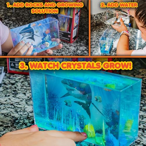 Toysmith Magic Rocks Instant Crystal Growing Kit (Assorted Styles) - style: Magic Rocks Crystal Growing Kit