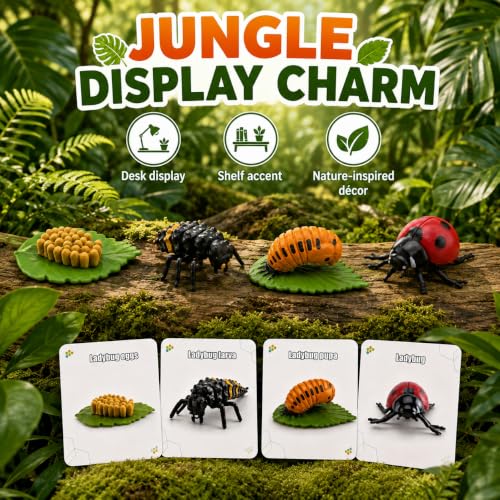 Montessori Life Cycle Animal Figures with Flash Cards, Lifelike Animal Growth Cycle Biological Model Set (Ladybug) - style: Ladybug