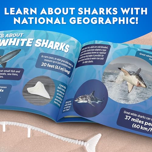 National Geographic Glow-in-the-Dark Shark Dissection Kit for Kids - style: Shark Dissection Kit