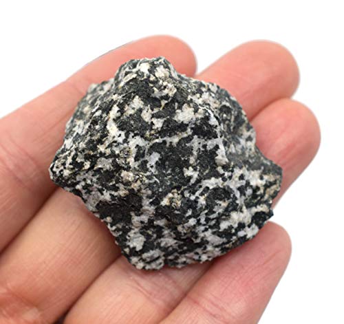 EISCO 12PK Raw Diorite, Igneous Rock Specimens - Approx. 1" - Geologist Selected & Hand Processed - Great for Science Classrooms - Class Pack
