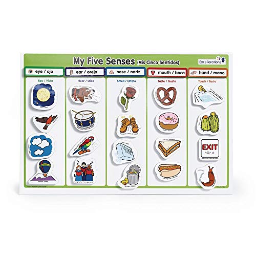 Excellerations My 5 Senses Magnetic Activity Set, 12 x 18 inches, Pack of 55, Educational STEM Toy, Preschool, Kids Toys