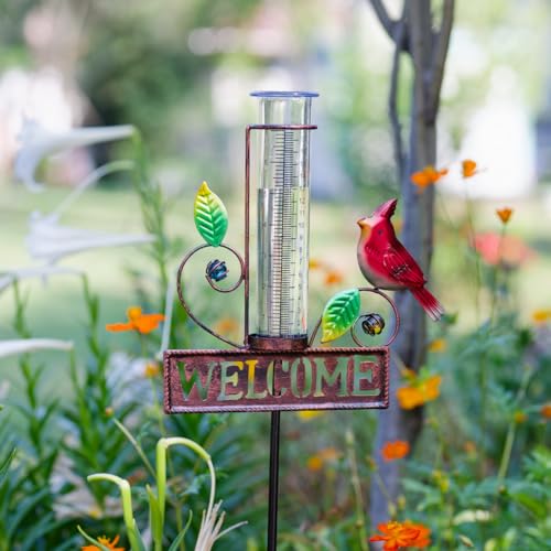 Stargarden Rain Gauge Outdoor, Metal Cardinal Rain Gauge - color: Cardinal