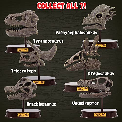 ArtCreativity Dinosaur Excavation Kit, 5-Inch Carnotaurus Skull Toy & Stand - style: Carnotaurus