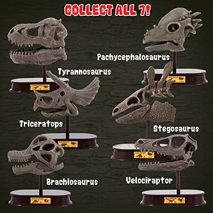 ArtCreativity Dinosaur Excavation Kit, 5-Inch Carnotaurus Skull Toy & Stand - style: Carnotaurus