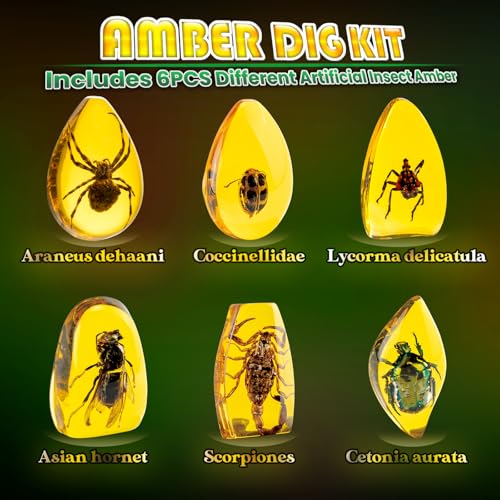 GobiDex Amber Dig Kit for Kids Ages 6+, Excavate 6 Insects Specimens