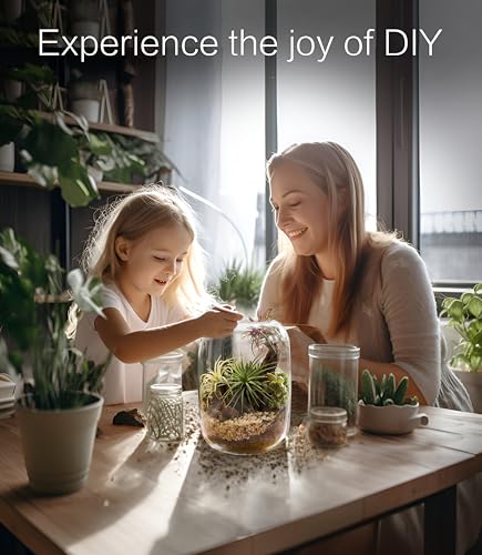LuckyRunes Premium Terrarium Kit with Live Moss, 24-Piece Glass Set - size: Round Set
