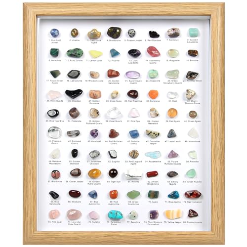 80PCS Natural Rock Collection Box, Crystals and Gemstones Rock Display Case