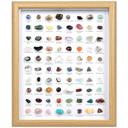 80PCS Natural Rock Collection Box, Crystals and Gemstones Rock Display Case