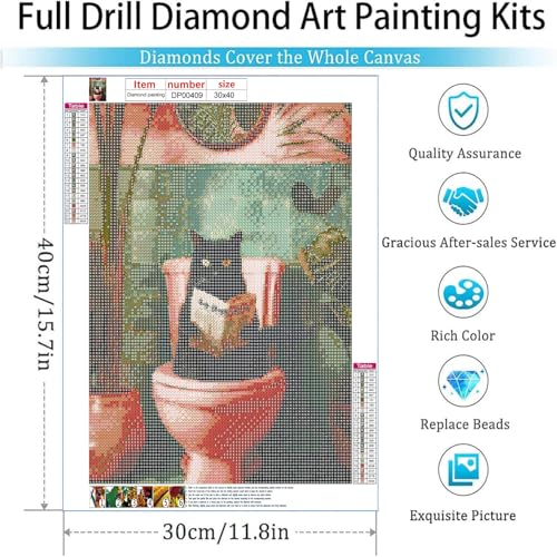 Diamond Art Kits for Adults,Black Cat Diamond Painting Kits 12 x 16in - color: DP00409