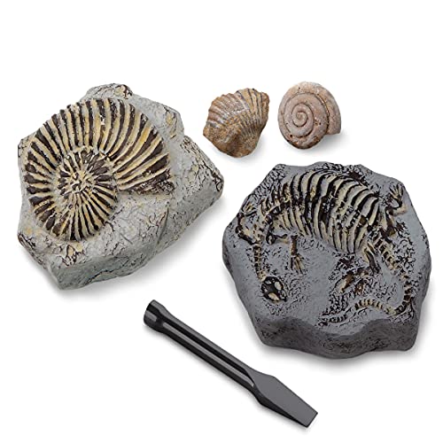 Discovery #MINDBLOWN Mini Fossil Dig Set, 2 Pack Excavation Kit, Interactive Archaeology Paleontology Experiment, Learn Science, Fun and Educational STEM Toy for Kids Ages 6 and Up
