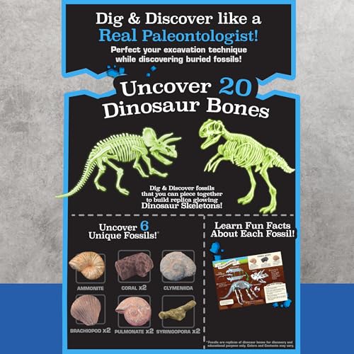 ArtSkills Dinosaur Fossil Digging Kit for Kids Glow in the Dark Dinosaur