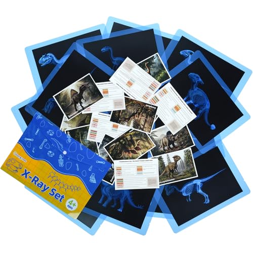 15 Pcs Dinosaur Xrays & Creatures Cards - Light Table Toys - style: Dinosaur Series