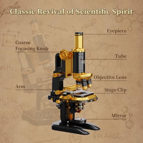 PANTASY Retro Microscope Building Kit with Antique Brass Finish for Adults
