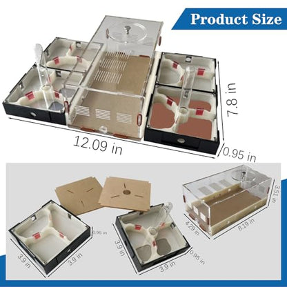 Ant Farm Nest Science DIY Terrarium Kit Care for Live Ants Ant Habitat with Water Tower Nurturing Room and Comprehensive Observation-Set 5 - size: 5