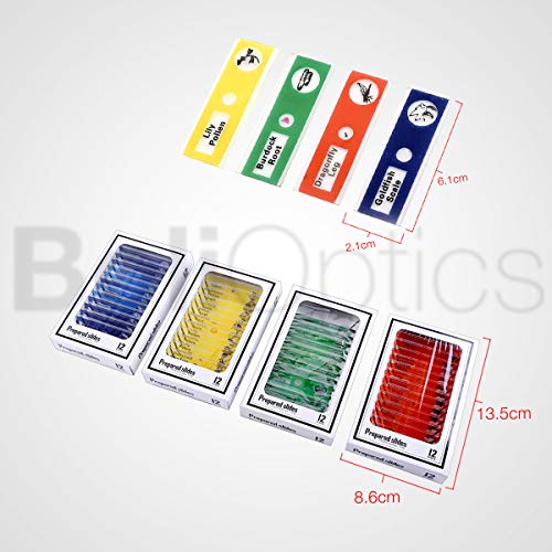 BoliOptics 48 Pcs Kids Plastic Prepared Microscope Slides of Animals Insects Plants Flowers Sample Zoological Botanical Biology Specimen Set for Students Hobbyists Beginners Kids Homeschool SL39901014