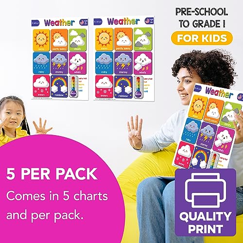 FoldCard Weather Chart Educational Poster 8.5x11 5pk - color: Weather and Temperature