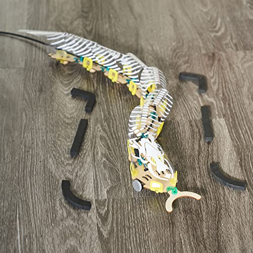 KiwiCo Remote Control Snake Robot - DIY Robotics Building Kit for Ages 9+