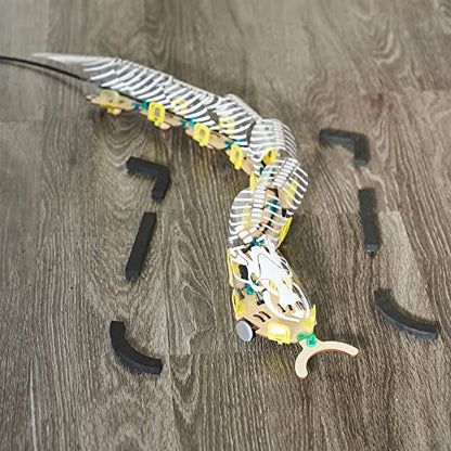 KiwiCo Remote Control Snake Robot - DIY Robotics Building Kit for Ages 9+