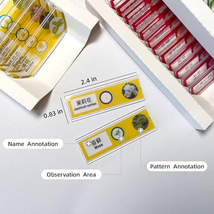 48 Prepared Microscope Slides Set, Insects Animal Plant Fruit Vegetable Specimens, Biological Learning Resource Specimens for Beginner Classroom Basic Science Education (MS-01)