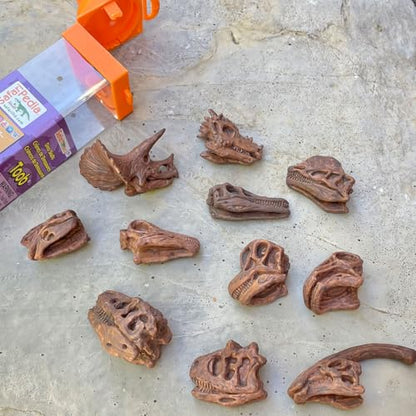 Safari Ltd Dinosaur Skulls TOOB - 11 Mini Figurines Including Velociraptor, Brachiosaurus, Oviraptor, Triceratops, Tyrannosaurus Rex and More - Educational Toy Figures for Boys, Girls & Kids Ages 3+