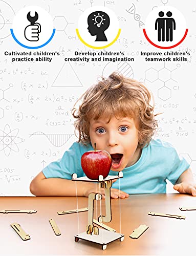 STEM Science Kits for Kids 8-10-12, Toys for Ages 8-13, Gifts for 8 9 10 11 12 13 Year Old Boys and Girls, Wooden 3D Puzzles, Educational Projects, Crafts Building Kits