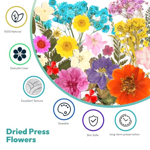 Dried Flowers, Resiners 58Pcs Pressed Flowers for Craft - color: Berry Red 58pcs