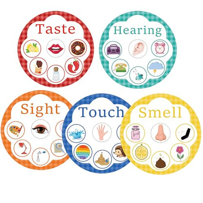 5 Senses Learning Activity Card 8 Inch Five Senses Sorting Cards