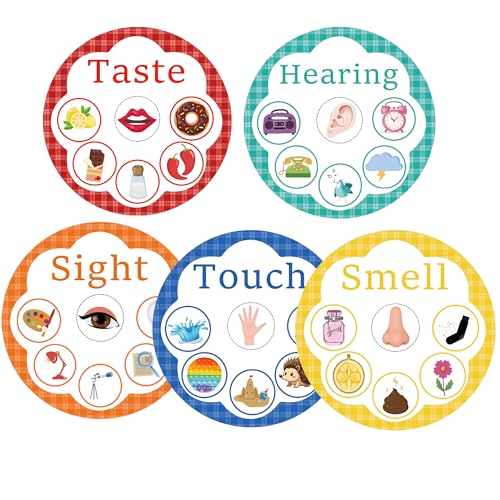5 Senses Learning Activity Card 8 Inch Five Senses Sorting Cards