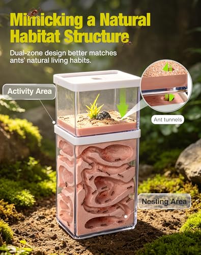 Plaster Ant Habitat with Dual-Zone Nest, 360° Observation, Built-in Expansion Ports for Colony Connection, Ideal for Ant Keeping, Scientific Observation & Student Learning