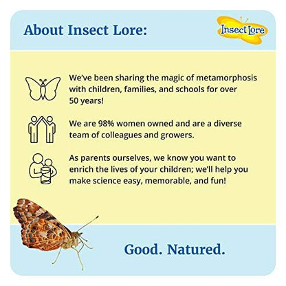 Insect Lore 40 Live Baby Painted Lady Caterpillars | 8 Cups of Caterpillars Basic, 5 Per Cup - Refill for Butterfly Kit | Caterpillars and Food Included - style: 8 Cups Basic