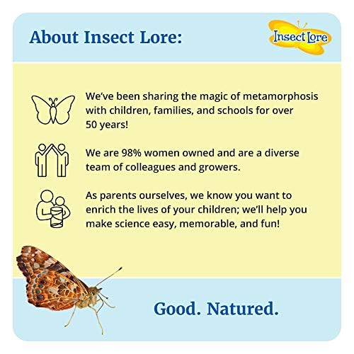 Insect Lore Two Cups of Live Caterpillars - 10 Live Painted Lady Caterpillars with Food - Includes Bonus Butterfly Life Cycle Figurines - Refill for Butterfly Garden Habitat