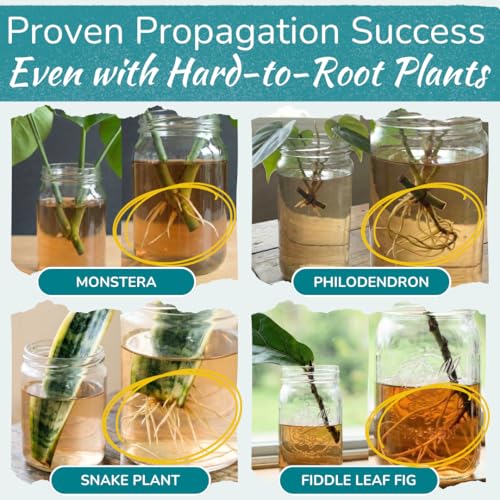 Houseplant Prop Drops – Rooting Hormone for Cuttings & Propagation Promoter | Root Growth Hormone & Root Stimulator | Supports Faster Root Development in Water & Soil Propagation | 8 oz (Pack of 2) - size: 8 ounces (Pack of 2)