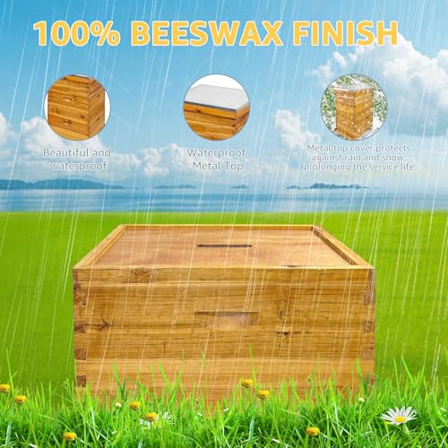 Beehive Boxes 3 Layer Langstroth Bee Hive Kit