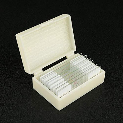 Prepared Bacteria and Fungi Microscope Slide Set, 9pcs Slides for Biology Teacher Students Micro Organisms Science Education - color: Bacteria & Fungi