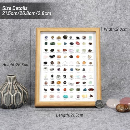 80PCS Natural Rock Collection Box, Crystals and Gemstones Rock Display Case