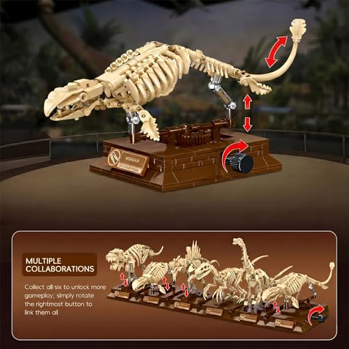 Mosasaurus Dinosaur Fossil Building Set, 191Pcs Movable Mosasaur Skeleton Model Kit with Museum Display Stand, Educational Prehistoric Marine Reptile Toy for Kids 8+, Gift for Dinosaur Enthusiasts - style: Mosasaurus