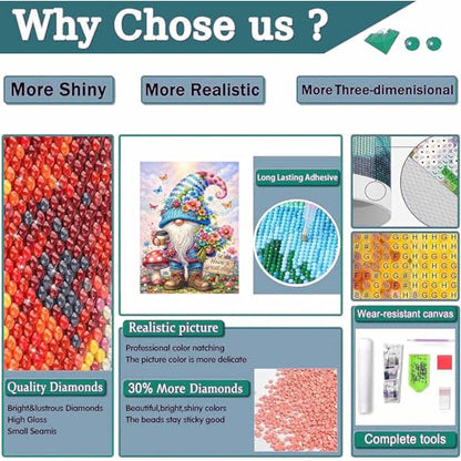 ajepon Gnome Diamond Art Kits for Adults 12X16 inch - color: G9719