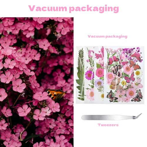 Dried Flowers for Resin 116Pcs Pink Real Natural Pressed Flowers - size: 116 pcs Pink Dried Flowers with Butterfly Stickers