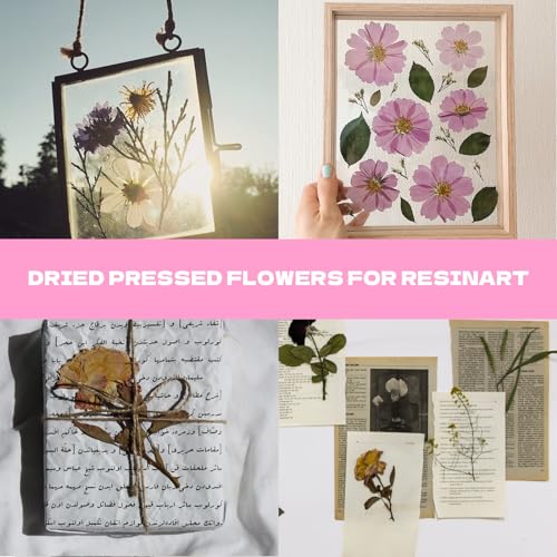 Dried Flowers for Resin 116Pcs Pink Real Natural Pressed Flowers - size: 116 pcs Pink Dried Flowers with Butterfly Stickers