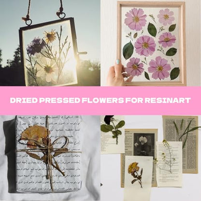 Dried Flowers for Resin 116Pcs Pink Real Natural Pressed Flowers - size: 116 pcs Pink Dried Flowers with Butterfly Stickers