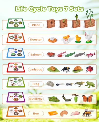 JoyCat Life Cycle Toys for Kids, 7 Animal and Plant Sets with Cards