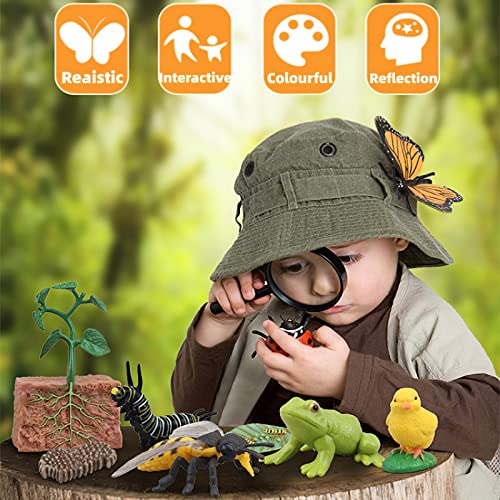 Montessori Life Cycle Animal Figurines Learning & Education Toys, Plastic Insect Life Cycle Toys for Kids, Preschool Learning Activities (Plant Bee Ant) - color: Plant Bee Ant