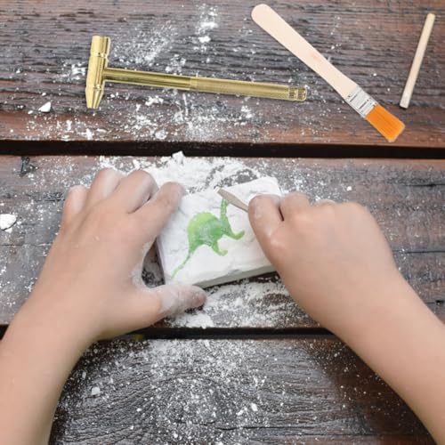 IMIKEYA Fossils Digging Kit for Kids, Archaeological Excavation Tools with Hammer Chisel Brush and Magnifier - Gemstone Dino Dig Kits Excavation for Boys Girls