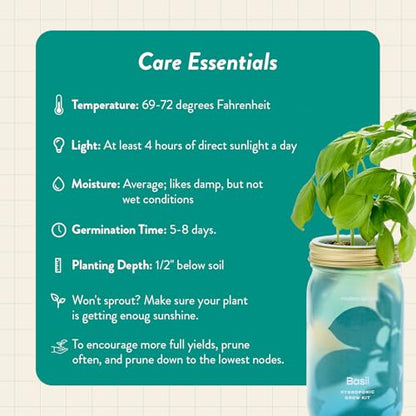 Modern Sprout Mason Garden Jar - Self-Watering Hydroponics Kit - Basil - color: Basil, size: Garden Jars